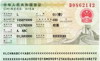 中国外国人签证类型