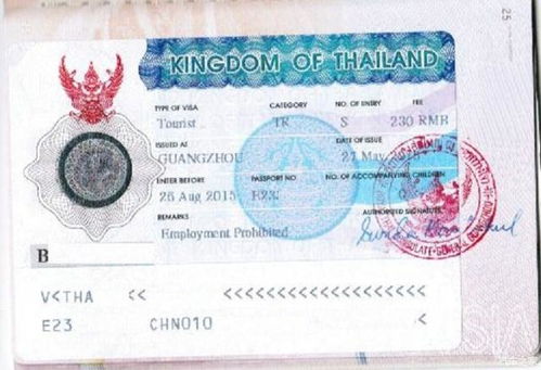 马来西亚落地签证政策