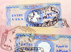 埃及落地签证费用