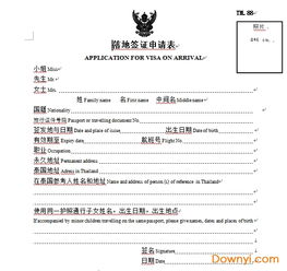 泰国落地签证申请表范本模板