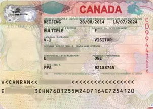 加拿大学生签证要多久下来