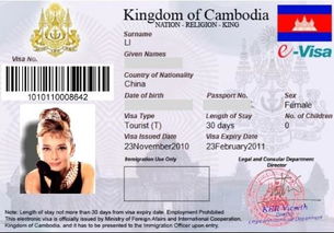 泰国evisa电子签证多久