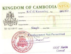 柬埔寨签证办理流程和费用
