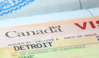 加拿大旅游签证是电子签证还是纸质的