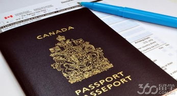 加拿大旅游证